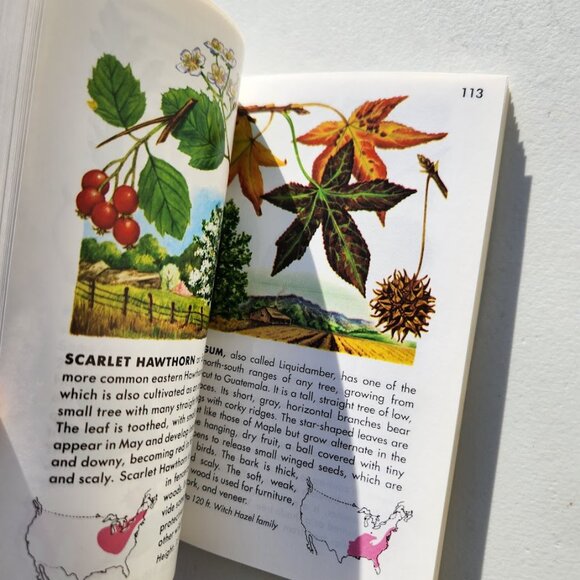 Trees Field Guide Plants botany Golden Guides St. Martin's Press BOOKSHARK - Picture 7 of 14